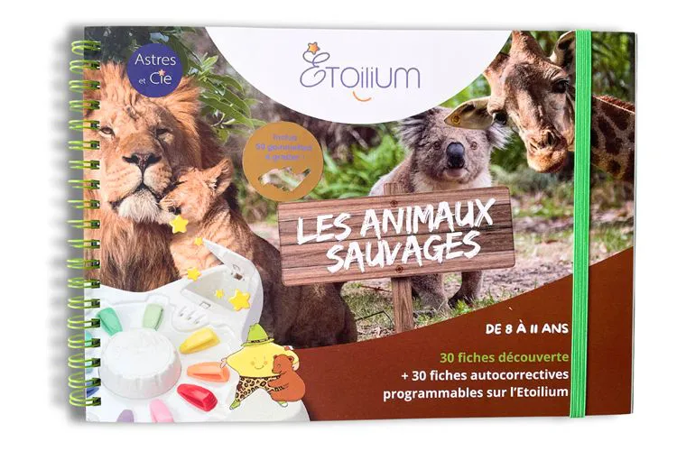 LIVRET LUDO-EDUCATIF - ANIMAUX (REAPPRO 08/07)