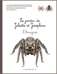 LE JARDIN DE JULIETTE ET JOSEPHINE : L'ARAIGNEE