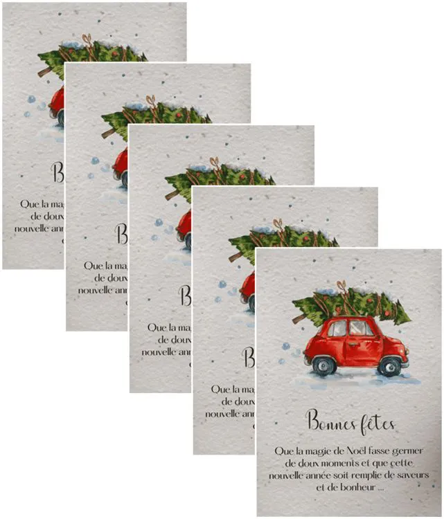 CARTES A PLANTER BONNES FETES X5