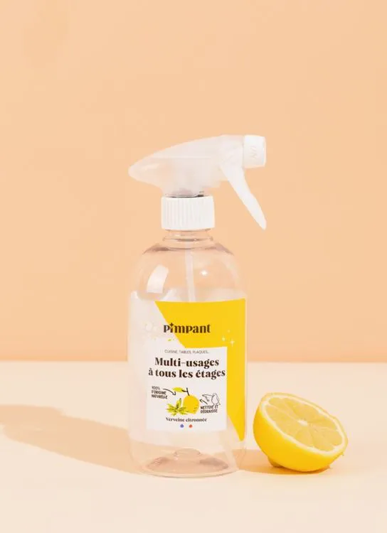 BOUTEILLE SPRAY (500 ML) - MULTI USAGES