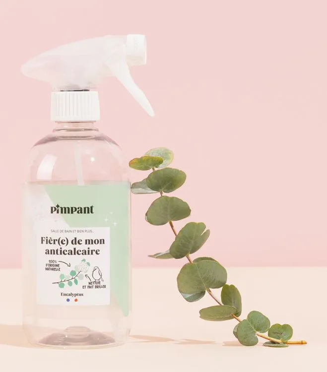 BOUTEILLE SPRAY (500 ML) - ANTI-CALCAIRE