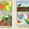 MON PETIT JOURNAL - DANS LE JARDIN 2