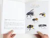 LE JARDIN DE JULIETTE ET JOSEPHINE : L'ABEILLE 2