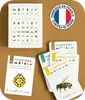 LE JEU DES 7 ORDRES D'INSECTES 1
