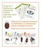LE JEU DES 7 ORDRES D'INSECTES 2