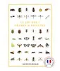 LE JEU DES 7 ORDRES D'INSECTES 3
