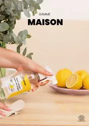 2. GAMME MAISON