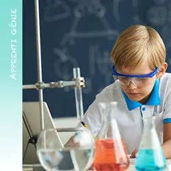 6. APPRENTI GENIE